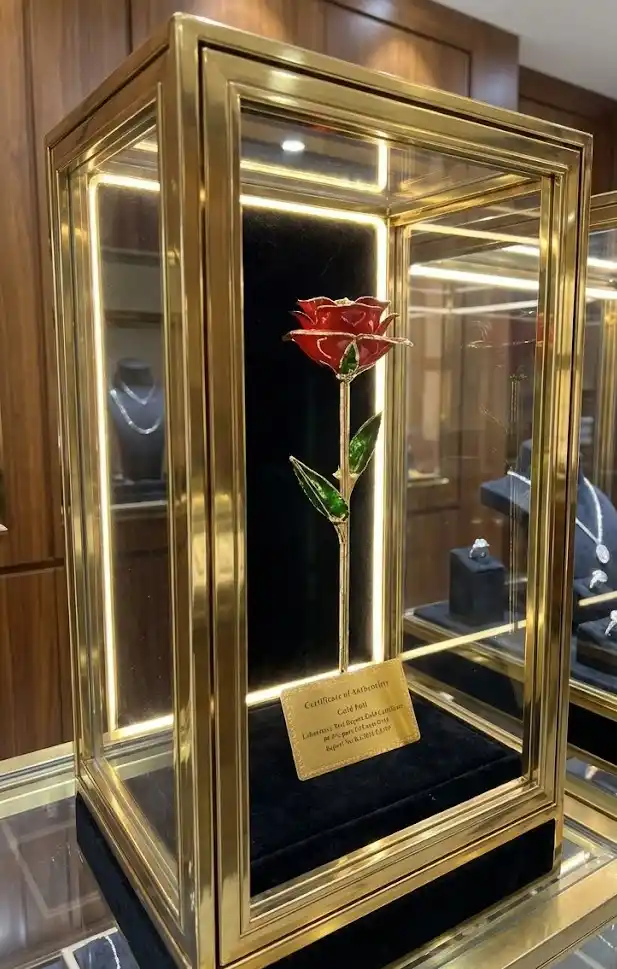 Image of the product added to cart